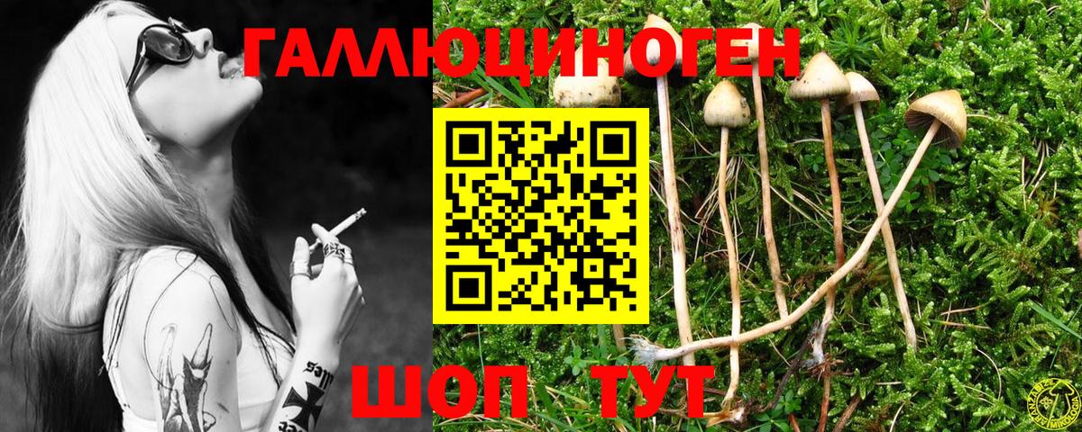 наркошоп  Вход с VPN  Псилоцибиновые грибы Psilocybe  Тобольск  Галлюциногенные грибы Magic Shrooms 