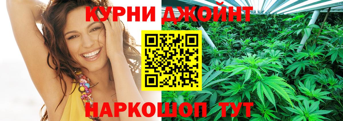 Конопля гибрид Тобольск